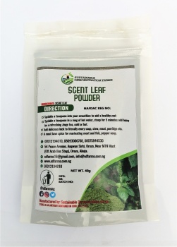 Scent Leaf Powder 40 Grams